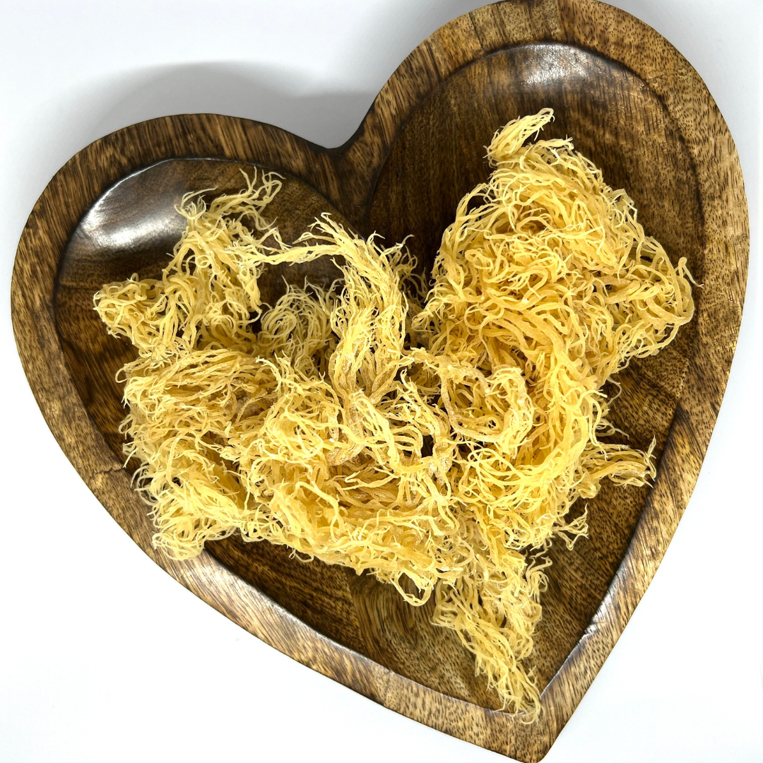 Raw Sun Dried Wildcrafted Sea Moss